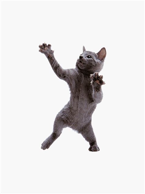 "Dancing Cat Hamster Dance Meme Cat Shitpost" Sticker for Sale by ...