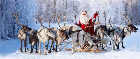 Christmas Reindeer: What's the Story Behind Santa and Reindeer? - A-Z ...