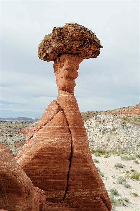 Rimrock Hoodoo Photograph by David Hogan