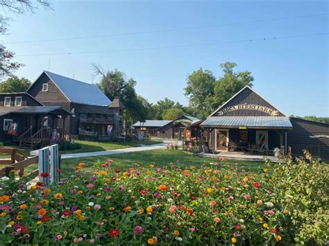 Roca Berry Farm - Pumpkin Patch Near Me