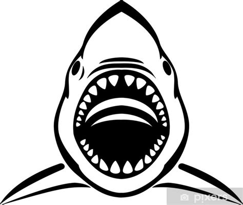 Shark Head Drawing | Free download on ClipArtMag