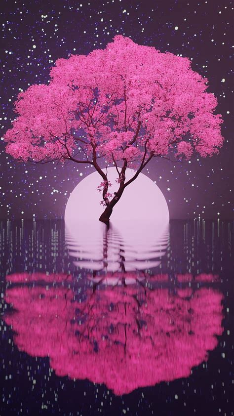 Cherry Blossom Night Wallpaper Anime