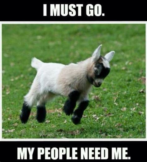 You Favourite Goat Based Memes - Goat Simulator 3