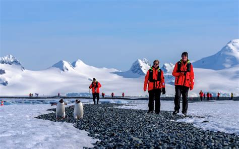 Antarctica & Falklands Expedition - Australian Geographic