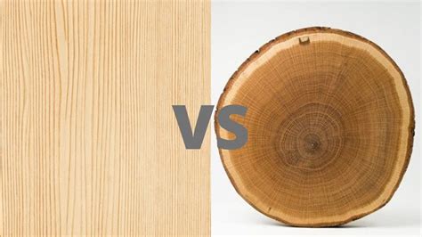 Polywood vs Wood: 5 Strong Factors You Should Consider