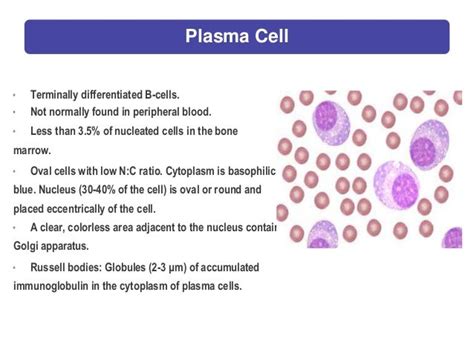 Plasma Cell Disorders