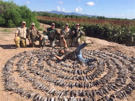 Mexico White-winged Dove Hunting - Ramsey Russell's GetDucks.com