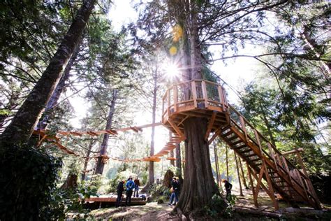 Reconnect with Nature at the Salishan Coastal Lodge | Portland Monthly