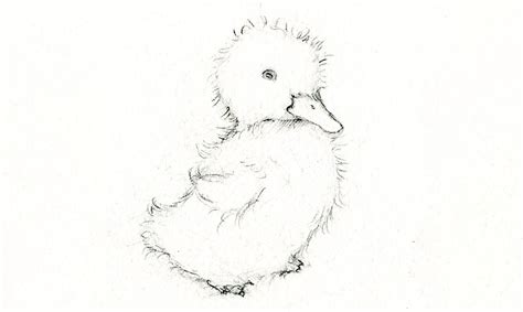 Divine Info About How To Draw A Realistic Duck - Grantresistance