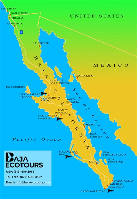 Map of the Baja Peninsula - Baja Ecotours