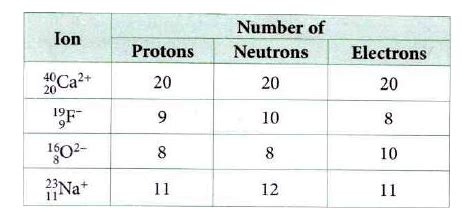 Doubt Solutions - Maths, Science, CBSE, NCERT, IIT JEE, NEET