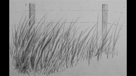 Grass Drawing Pencil