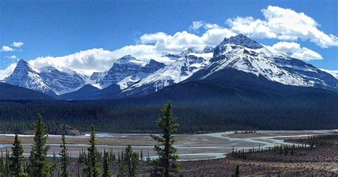 Best Alberta's Canadian Rockies Wildlife Tours | 10Adventures