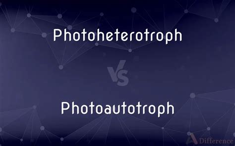 Photoheterotroph vs. Photoautotroph — What’s the Difference?