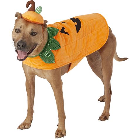 9 Wickedly Cute Large Dog Halloween Costumes