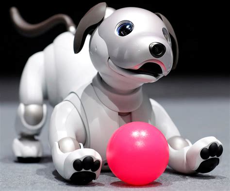 Sony's Aibo Robot Dog Gets Updated, Lets You Program Actions and ...