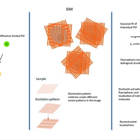 An overview of super-resolution microscopy techniques. The STED ...