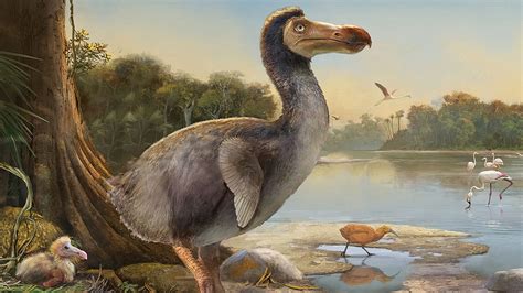 The Dodo: A De-Extinction Challenge to Humanity’s Perception of Utility