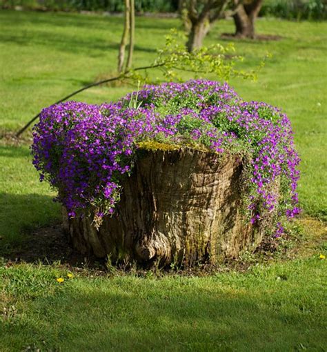 14 Tree Stumps Turned Into Gorgeous Planters - Part 1