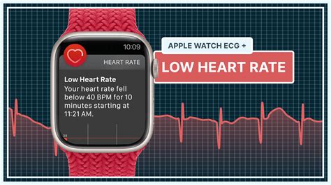 What Low Heart Rate Means on Your Apple Watch ECG | Qaly