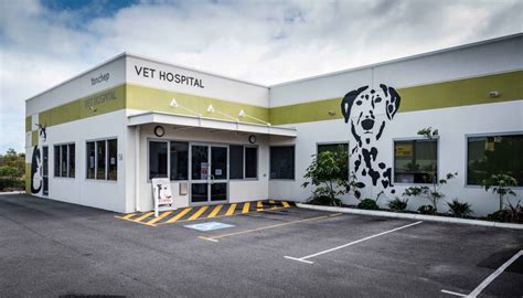 Make an appointment with our veterinary hospital