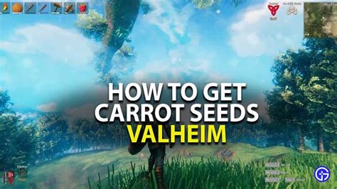 How To Farm Carrot Seeds Valheim - Farming Mania