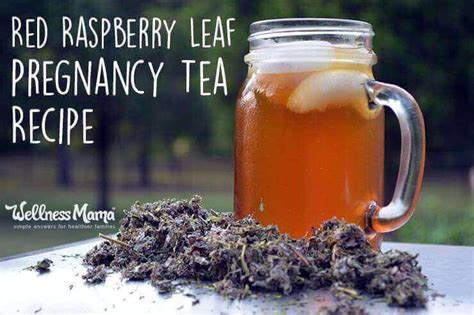 Red Raspberry Leaf Tea Recipe | Wellness Mama