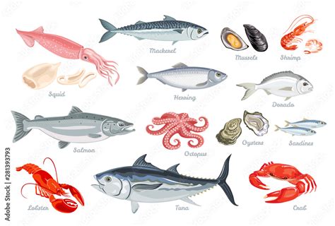 Set of seafood. Fish, mollusks and crustaceans. Vector illustration of ...