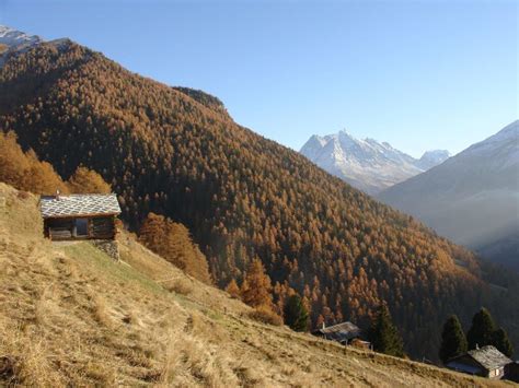 Refab Retreat: Cozy Swiss Alps Chalet in a Retrofitted Barn | Designs ...