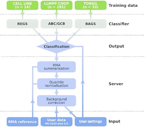 Diagram of the hemaClass.org workflow architecture. | Download ...