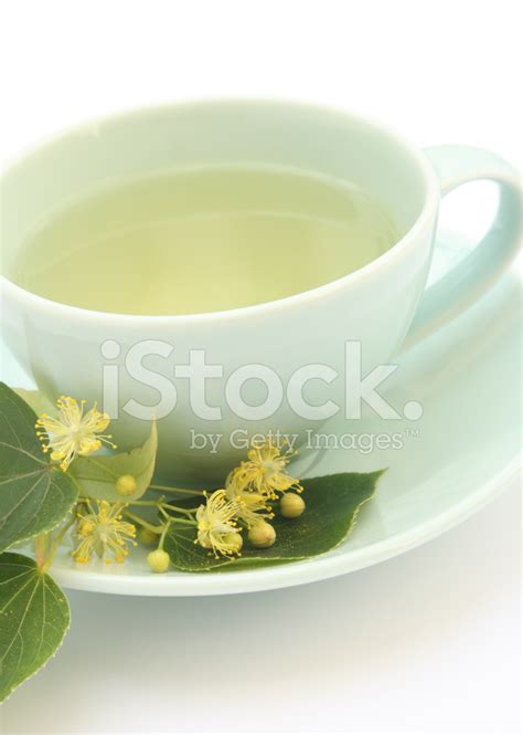 Linden Tea Stock Photo | Royalty-Free | FreeImages