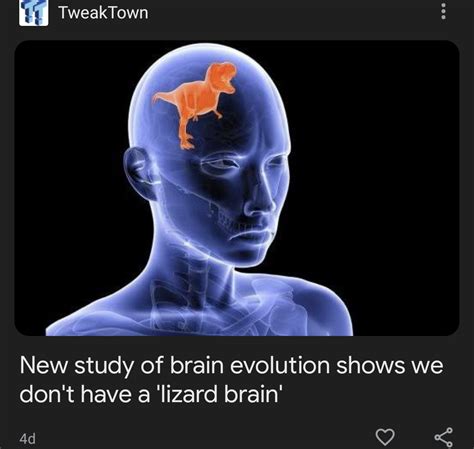 Lizard Brain : r/comedyheaven