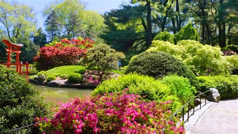 Brooklyn Botanic Garden - Botanic Garden in New York City - Thousand ...