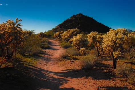 Arizona Desert Landscape Free Stock Photo - Public Domain Pictures