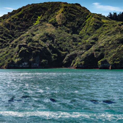 The Māori People's History if Zealandia was Still Above Water