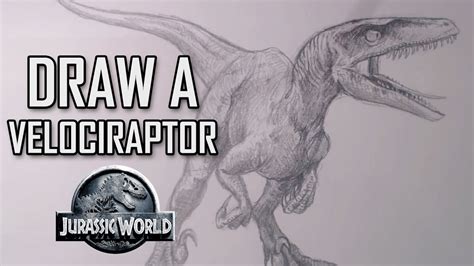 Jurassic Park Velociraptor Drawing