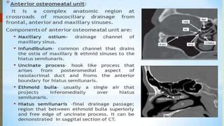 Surgical anatomy of osteomeatal complex | PPT