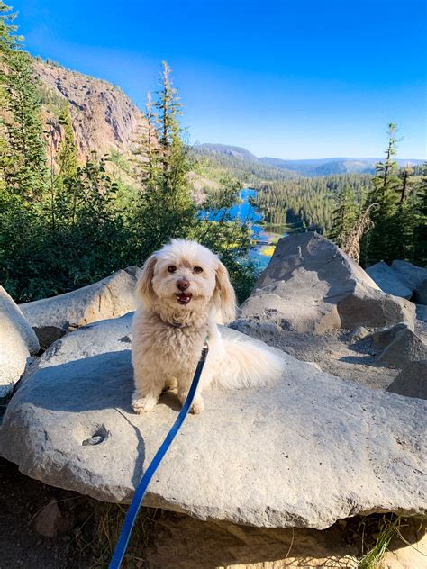 Hiking in Mammoth Lakes - Exploring Our World