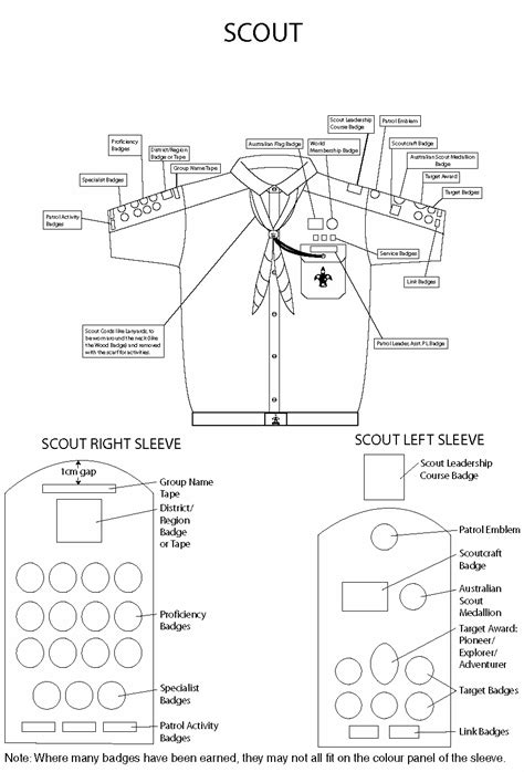 Scout badges, Badges and Scouts on Pinterest