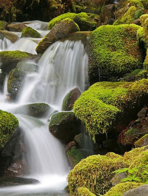 Waterfall, Hoh rain forest, Olympic peninsula | Waterfall, National ...