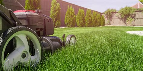 Proper Mowing Height for Your Lawn | A-G Sod Farms