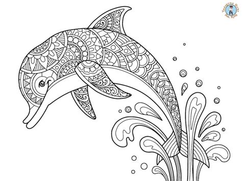 Dolphin Detailed Coloring Page - Treasure hunt 4 Kids