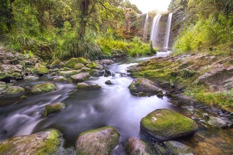 Whangarei Falls - NZ Landscape Prints