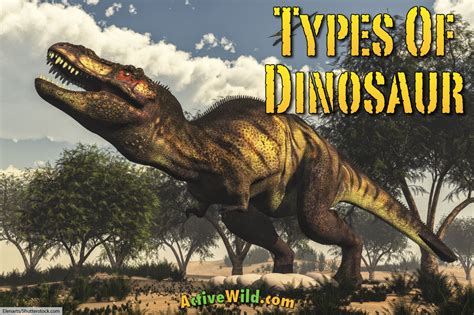 Discover The Different Types Of Dinosaurs With Pictures & Facts