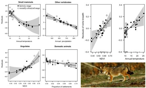 Climate and environment shape jackal diet – Biogeography.News