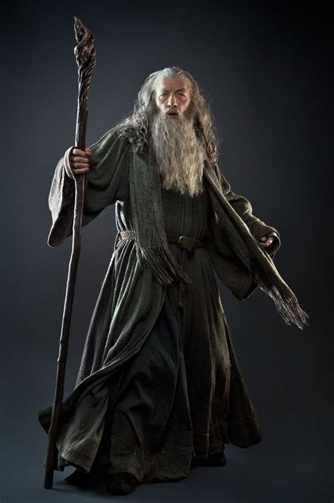 Celebrities, Movies and Games: Ian McKellen as Gandalf: The Lord of the ...