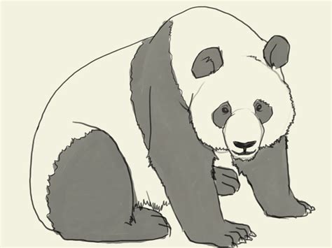 Cool Panda Drawing at GetDrawings | Free download