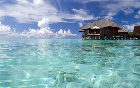 Luxury Maldives Resort - Clean water in sea Wallpaper Download 5120x3200