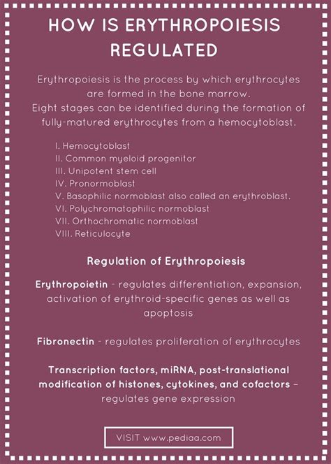 How is Erythropoiesis Regulated - Pediaa.Com