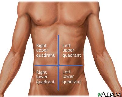 Abdominal quadrants: MedlinePlus Medical Encyclopedia Image